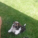 Lorne Thomas - Facebook Profile Picture of Lorne Thomas (@lorne.thomas.5) on Facebook