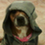 Profile Picture of Nancy Rexrode (@nrexrode) on Flickr