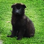 Profile Picture of dylan judd (@judddylan23) on Instagram