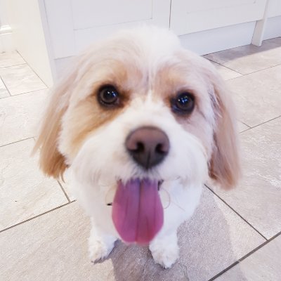 Profile Picture of Anne Bloomfield (@anne_bloomfield) on Twitter