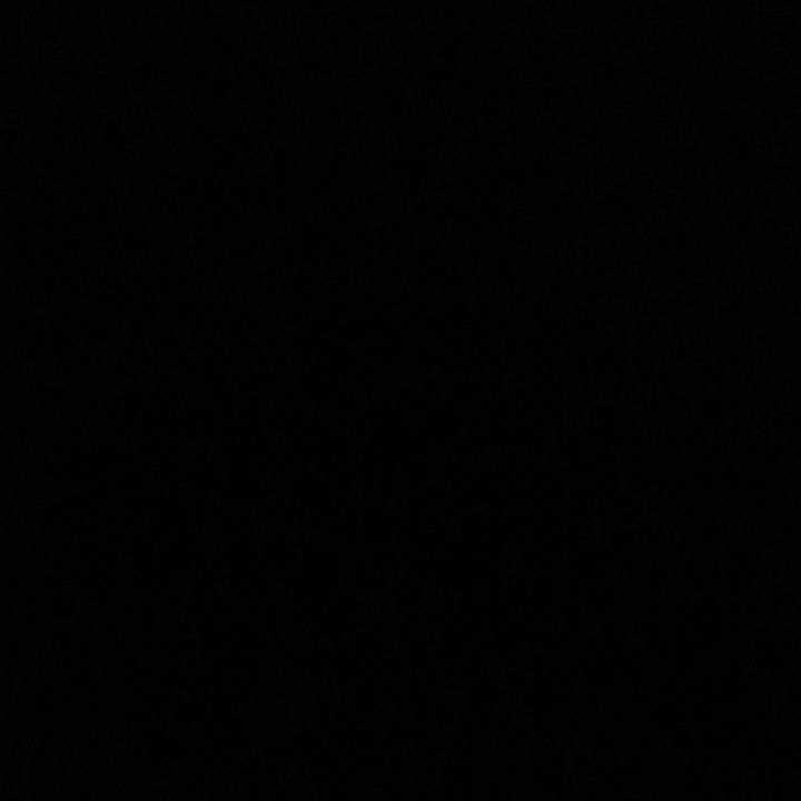 Profile Picture of Nicholas White (@1nickwhite) on Tiktok