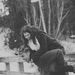 Profile Picture of Samantha-Jo Hunter Downey (@sjmhjbd) on Pinterest