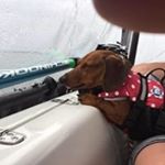 Profile Picture of Richard Mccue (@huntersailer) on Instagram