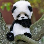 Profile Picture of Daniel Twardowski (@herodanieldupagames.tv) on Instagram