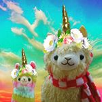 Profile Picture of ahmed and Sebastian (@alpaca.sebastian.ahmed) on Instagram