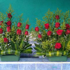 Thomas Boj - Tiktok Profile Picture of Thomas Boj (@thomas.boj) on Tiktok