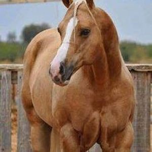Profile Picture of Mahmoud Ibrahem (@mz_hse) on Myspace