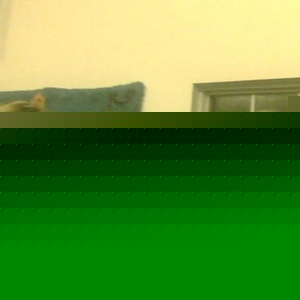 Profile Picture of Trevor Atchley (@trevoraceatchley) on Myspace