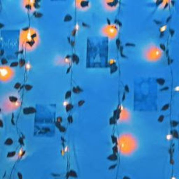 Profile Picture of Robin Jeffers (@kailynpj) on Poshmark