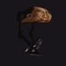 Profile Picture of Brady Neff (@brady.neff.165) on Facebook