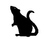Profile Picture of Year Of The Rat (@year of the rat) on Flickr