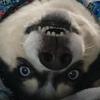 Profile Picture of Alexandra Wiley (@@momsssspaghetti) on Tiktok