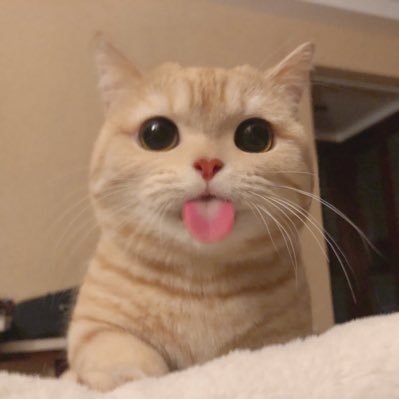 Profile Picture of 郑语砚 (@Zheng_yu_yan) on Twitter