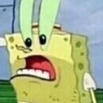 Profile Picture of Matthew Montella (@mmontella082702) on Instagram