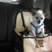 Profile Picture of Deb Linder (@deb.linder.77) on Facebook