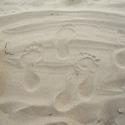 Profile Picture of Tom Piech (@TPiech) on Twitter