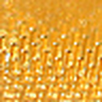 Profile Picture of Alex Shearer (@alexshearer.basischandler@yahoo.com) on Flickr