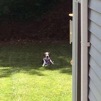 Beth Barrett - Quora Profile Picture of Beth Barrett (@beth-barrett-42) on Quora