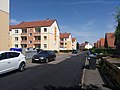 Profile Picture of Harlingerodeon Wikipedia