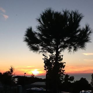 Profile Picture of Peter Erb (@peter.erb.754) on Facebook