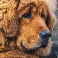 Profile Picture of Jenna Wilkinson (@jEnNa_lYnNe19) on Twitter