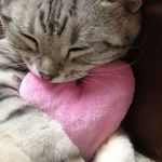 Profile Picture of autumnwicksgf (@autumnwicksgf) on Instagram