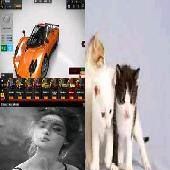 Profile Picture of Amey Kyleigh (@Amey-Kyleigh) on Facebook