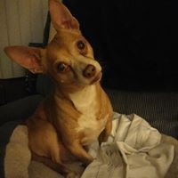 Profile Picture of Ashley Trago (@ashley-trago) on Quora