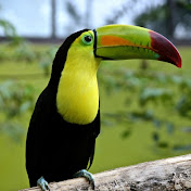 Profile Picture of Aaron Kin (@aaron_productos) on Youtube