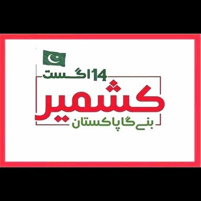Profile Picture of Muhammad Naveed Sial (@naveedsial1) on Twitter