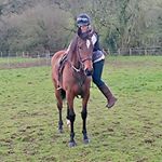 Profile Picture of Lisa Trott (@cambrookstables) on Instagram