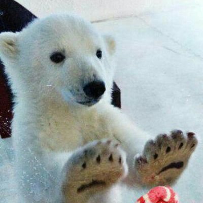 Profile Picture of John Fraley (@johnny052088) on Twitter