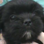 Profile Picture of Michael Kopczynski (@michaelsold_account) on Instagram