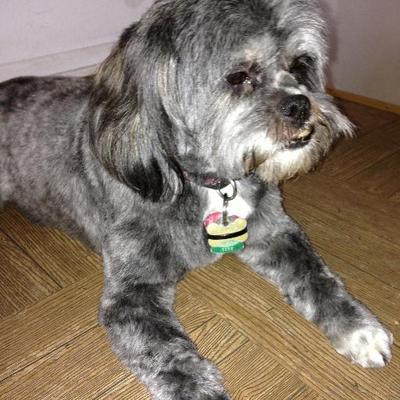 Profile Picture of Gene Forsythe (@GeneForsythe1) on Twitter