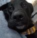 Profile Picture of Bryan Townshend (@bryan.townshend.750) on Facebook