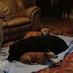 Profile Picture of Brian Kulm (@brian.kulm) on Instagram