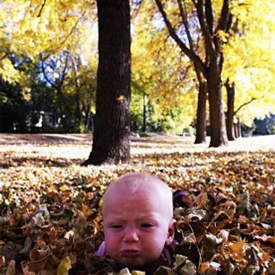 Profile Picture of Scott LaFortune (@scottlafortune) on Twitter