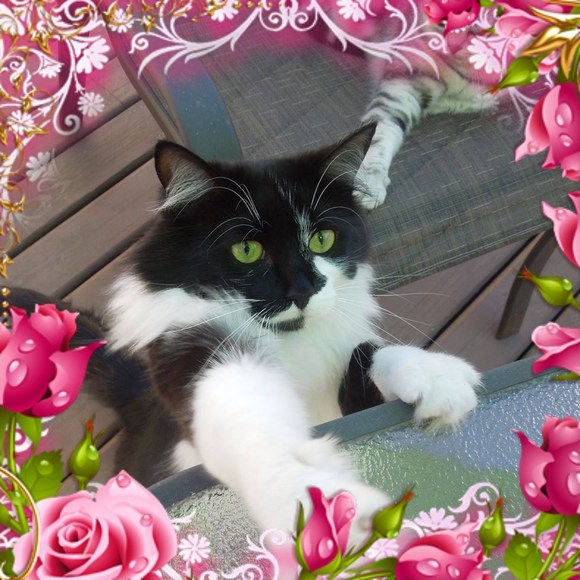 Profile Picture of Edith Stevens (@ellenstevens540) on Poshmark