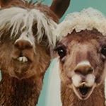Profile Picture of Jim Rupprecht (@jimrupprecht) on Instagram