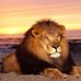 Profile Picture of Peter Manne (@peter.manne.9) on Facebook