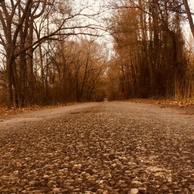 Profile Picture of Savannah Mullins (@Savanna96277675) on Twitter
