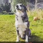 Profile Picture of Andy Morrow (@andy.morrow.942) on Instagram