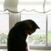 Profile Picture of Faye Maynard (@3923faye) on Pinterest