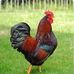 Profile Picture of Abdisalan Mohamed (@abdisalan.mohamed.7315) on Facebook