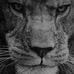 Profile Picture of Jeff Englund (@jeff.englund.35) on Facebook