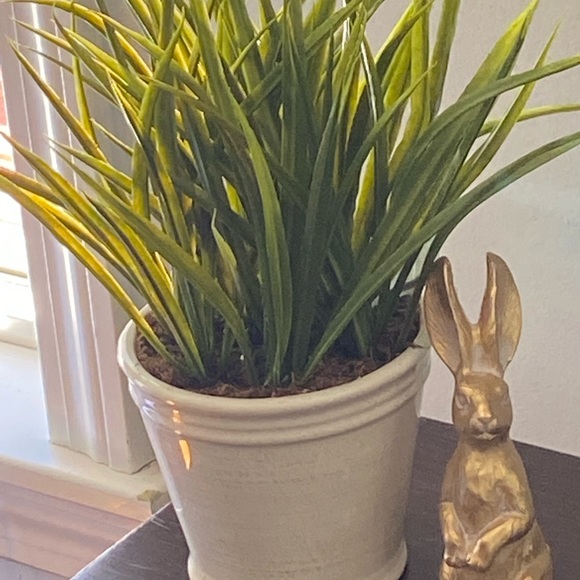 Profile Picture of Tracey Mccallig (@traceymccallig) on Poshmark