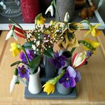 Profile Picture of Lima_Frioul (@billy_brutus) on Instagram