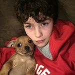 Profile Picture of Tyler Witmer (@twitmer12) on Instagram