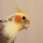 Profile Picture of Jacob Van Breda (@jacob.v.b) on Instagram