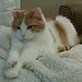Profile Picture of Jeanette Hiller (@jhiller25) on Pinterest